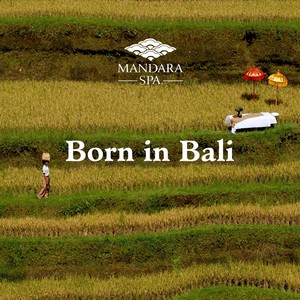 Born in Bali