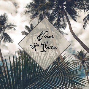 Surprise Miami (Radio Version)