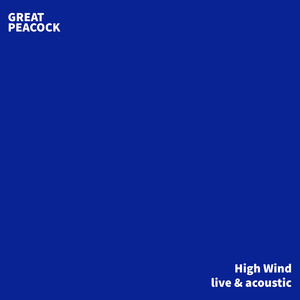 High Wind (Live and Acoustic)