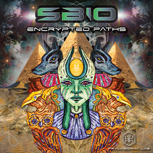 Psylo Sector (Original Mix)