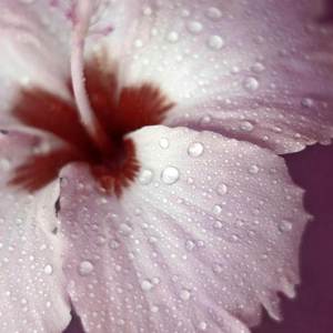 Different Kinda Pain (Explicit)