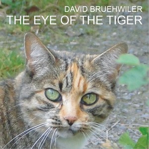 The Eye of the Tiger (老虎的眼睛)