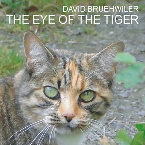 The Eye of the Tiger (老虎的眼睛)
