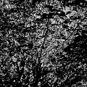 Abstract (feat. BG huncho) (Explicit)