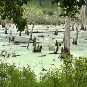 Baker's Lake