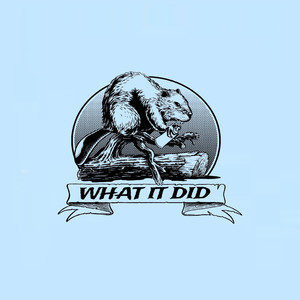 What It Did (Explicit)