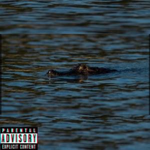 ALIGATOR (Explicit)