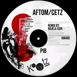 PIB (Original Mix)