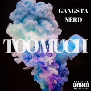 Too Much (Explicit)