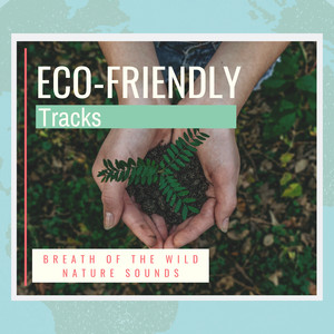 Eco-Friendly Tracks - Breath of the Wild Nature Sounds