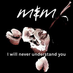 I will never understand you (Der Energieberater Remix)
