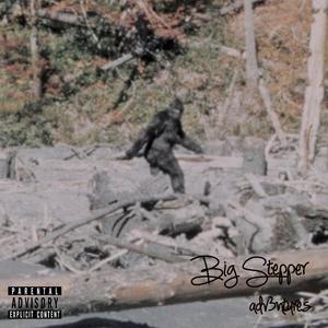 BIG STEPPER (Explicit)