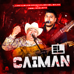 EL Caimán (En Vivo)