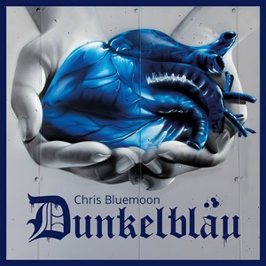 Dunkelblaui Revolution(Vorher)