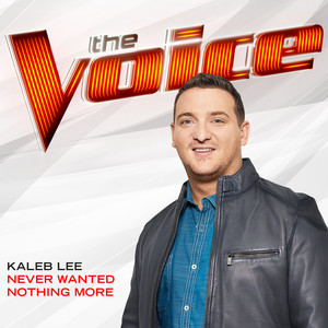 Never Wanted Nothing More (The Voice Performance)