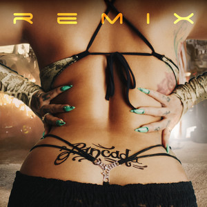 PANCADA (TH4I REMIX)