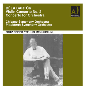 Violin Concerto No. 2 in B Major, Sz. 112 - Violin Concerto No. 2 in B Major, Sz. 112: I. Allegro non troppo
