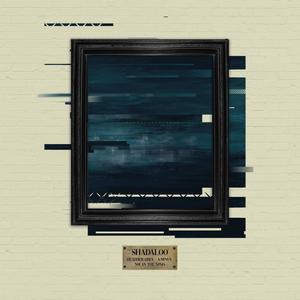 Shadaloo(feat. Nolan the Ninja) (Explicit)