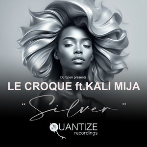 Le Croque - Silver (Original Mix)