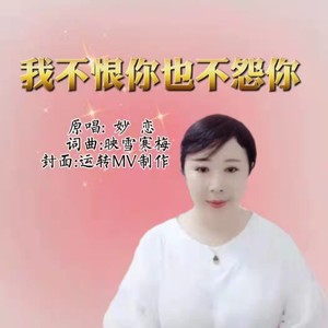我不恨你也不怨你