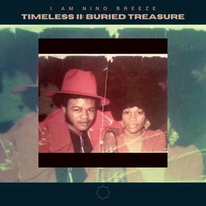 TIMELESS II: Buried Treasure