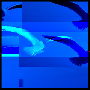 Ganz Genau (Explicit)