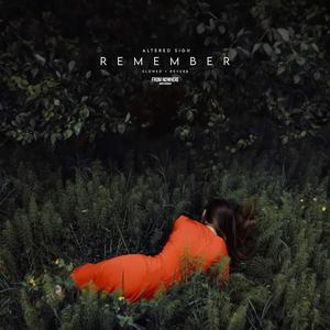 remember (slowed + reverb)