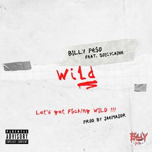 Wild (feat. Soicycaine) [Explicit]