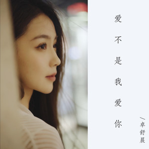 爱不是我爱你