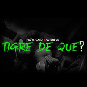 TIGRE DE QUE? (feat. OG BREGA) [Explicit]