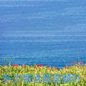 多少情话爱里藏针 (伴奏)