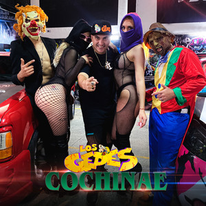 Cochinae (Explicit)
