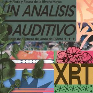 Manilkara Zapota. (Coloquialmente conocido como 