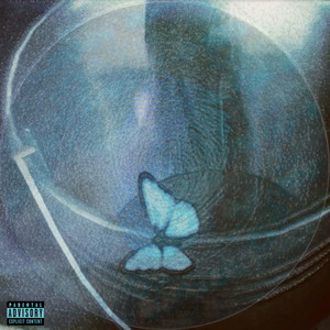 investigadora (Explicit)