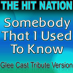 Somebody That I Used to Know - Glee Cast Tribute Version