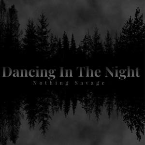 Dancing In The Night