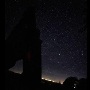 Feely - Sternenjäger