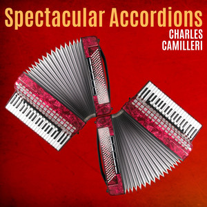 Spectacular Accordions