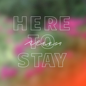 Here to Stay