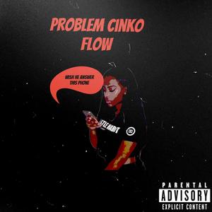 Problem cinko flow (Explicit)