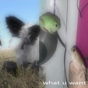 what u want (feat. Dosage) (Explicit)