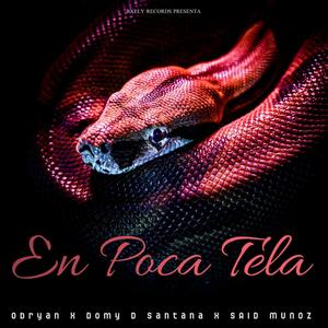 En Poca Tela (feat. Said Muñoz & Obryan) [Explicit]