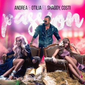 Passion (Nicola Veneziani Remix)