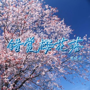 错赏樱花落封面