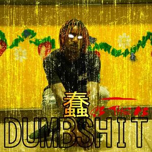 DUMBSHIT (Explicit)