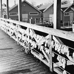 Le pont des rêves