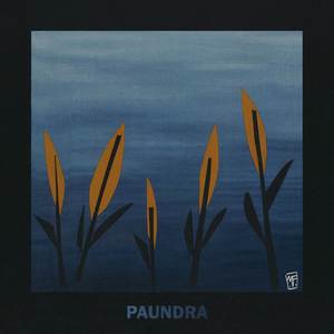 Paundra