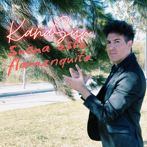 Suena Este Flamenquito