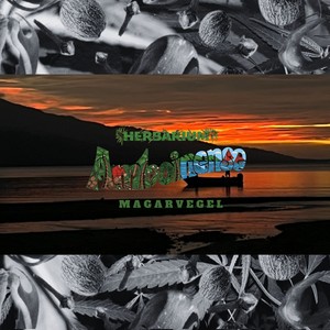 Herbarium Amboinense (Rumphius’s Legacy)