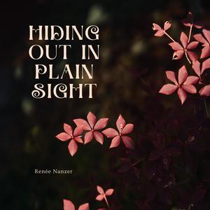 Hiding Out In Plain Sight (Explicit)